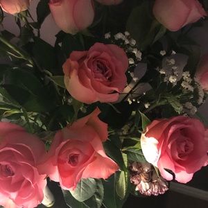 Meet your Posher, Grace